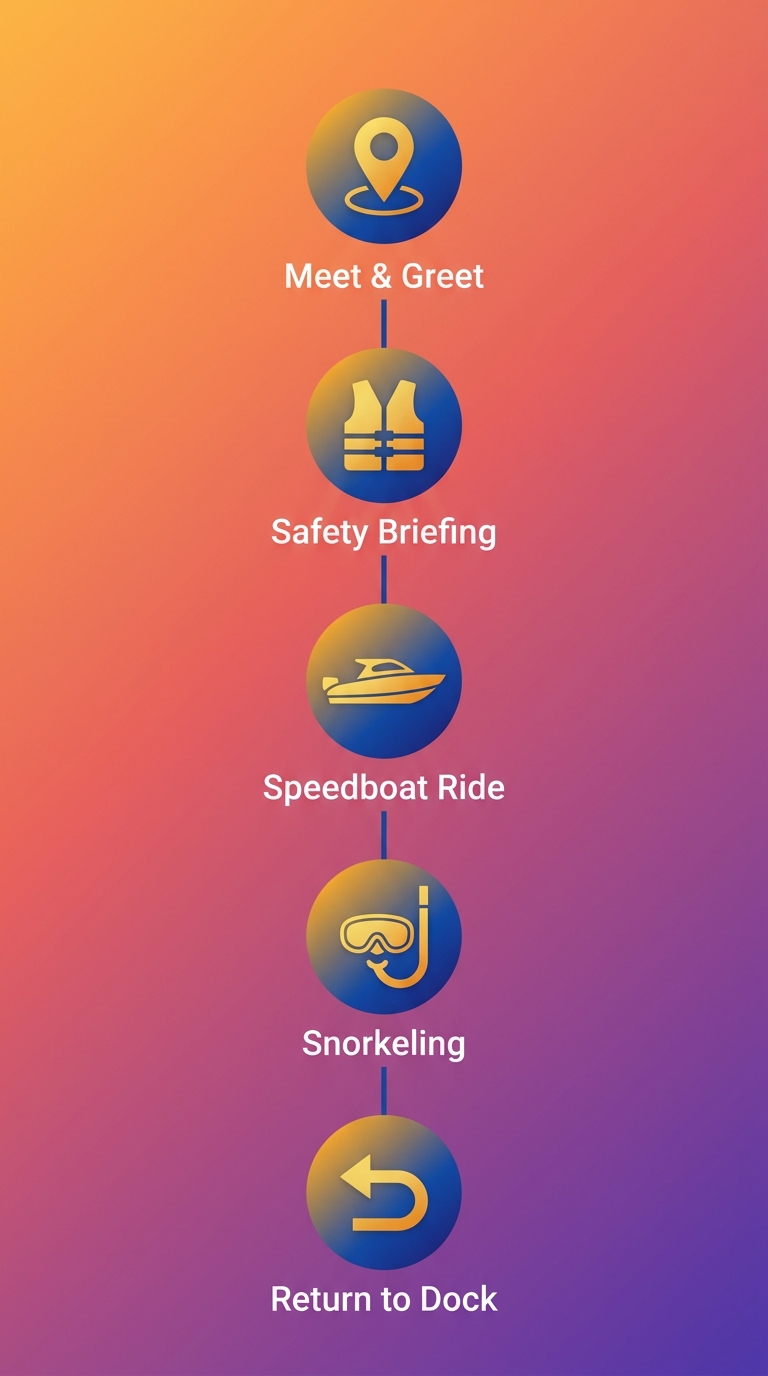 Vertical timeline showing five steps of a half-day speedboat snorkeling tour in Saint Lucia: meet and greet, safety briefing, speedboat ride, snorkeling, return to dock.