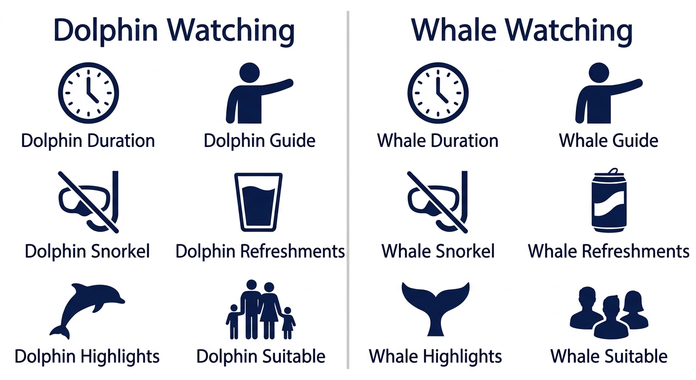 Comparison infographic of Dolphin Watching and Whale Watching tours with detailed feature icons and labels